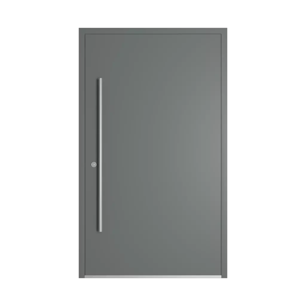 RAL 7005 Mouse Gray entry-doors models cdm model-48  