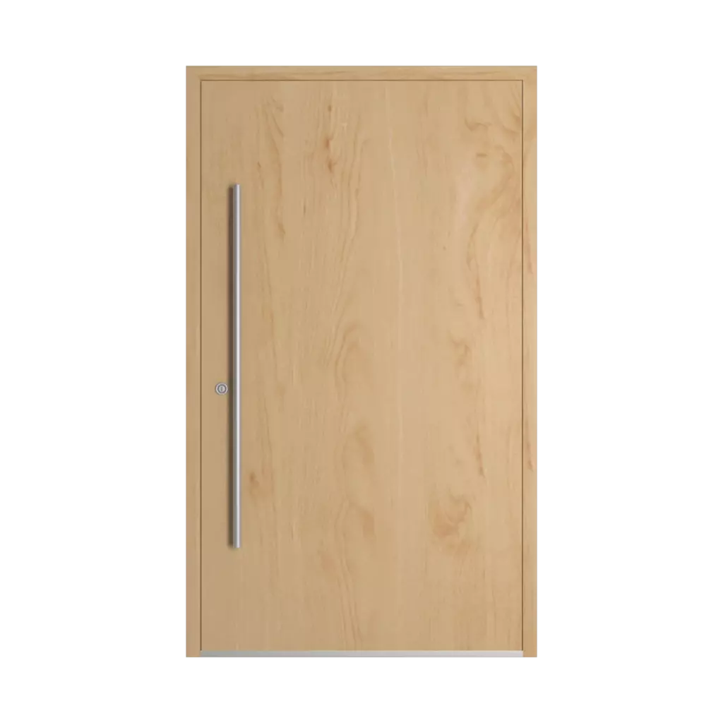 Birch entry-doors door-colors standard-colors birch