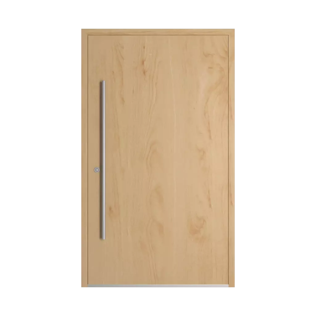 Birch entry-doors models dindecor sk06-grey  