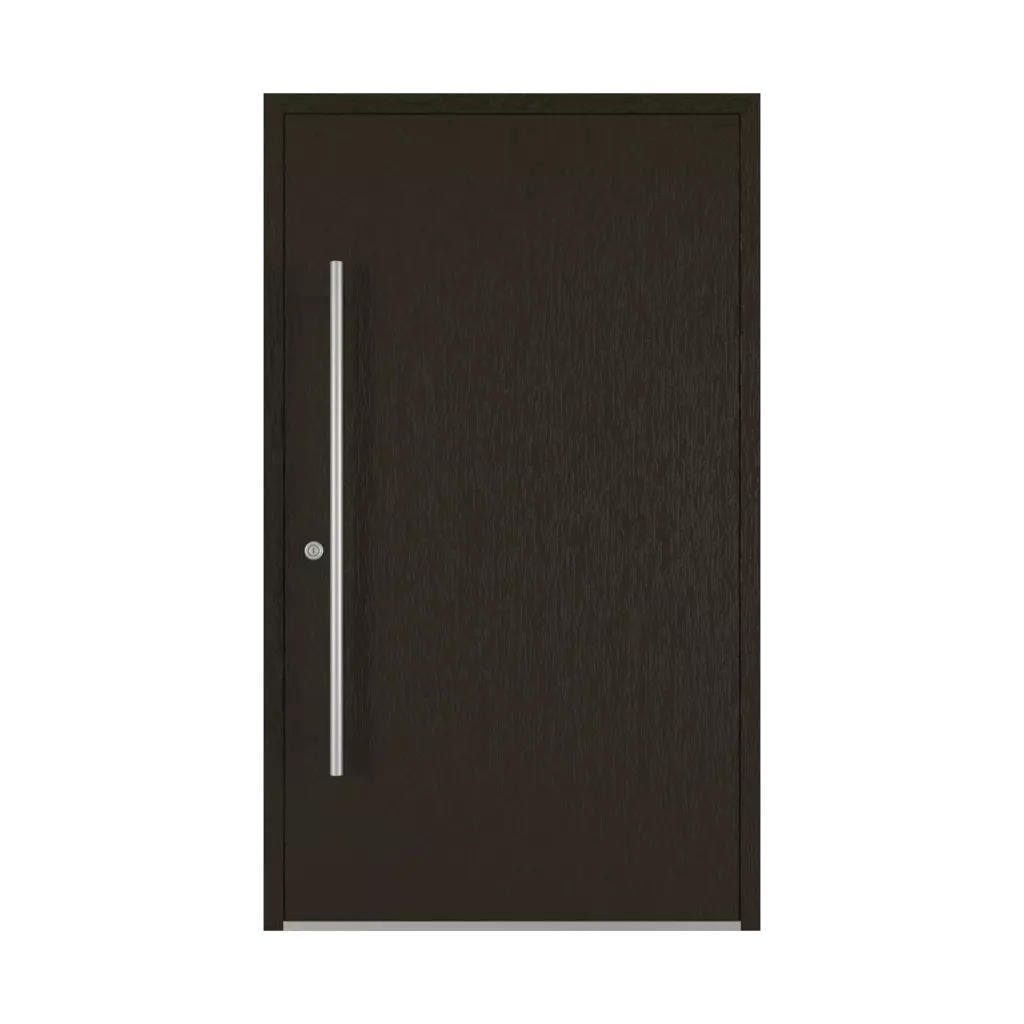 Palisander entry-doors models dindecor sk01-corten  