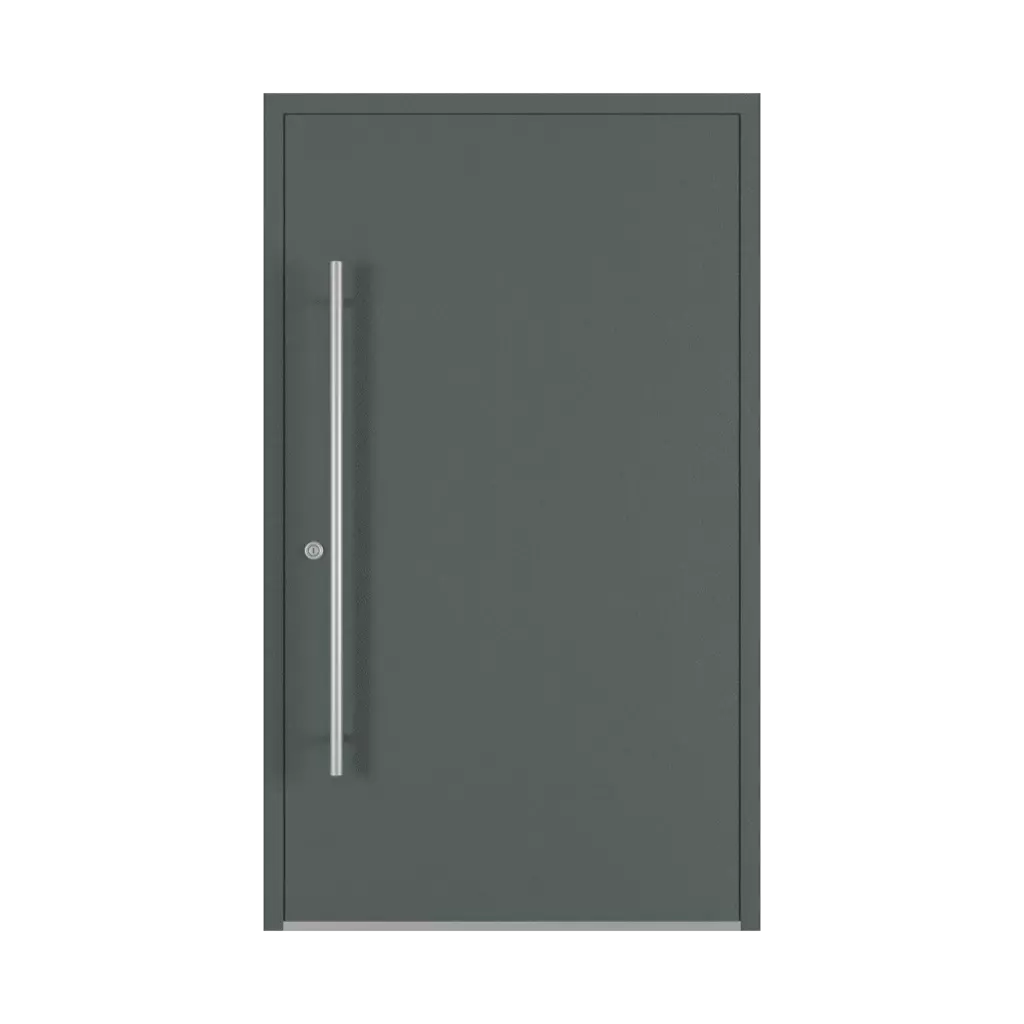 Basalt gray entry-doors models dindecor ll01  