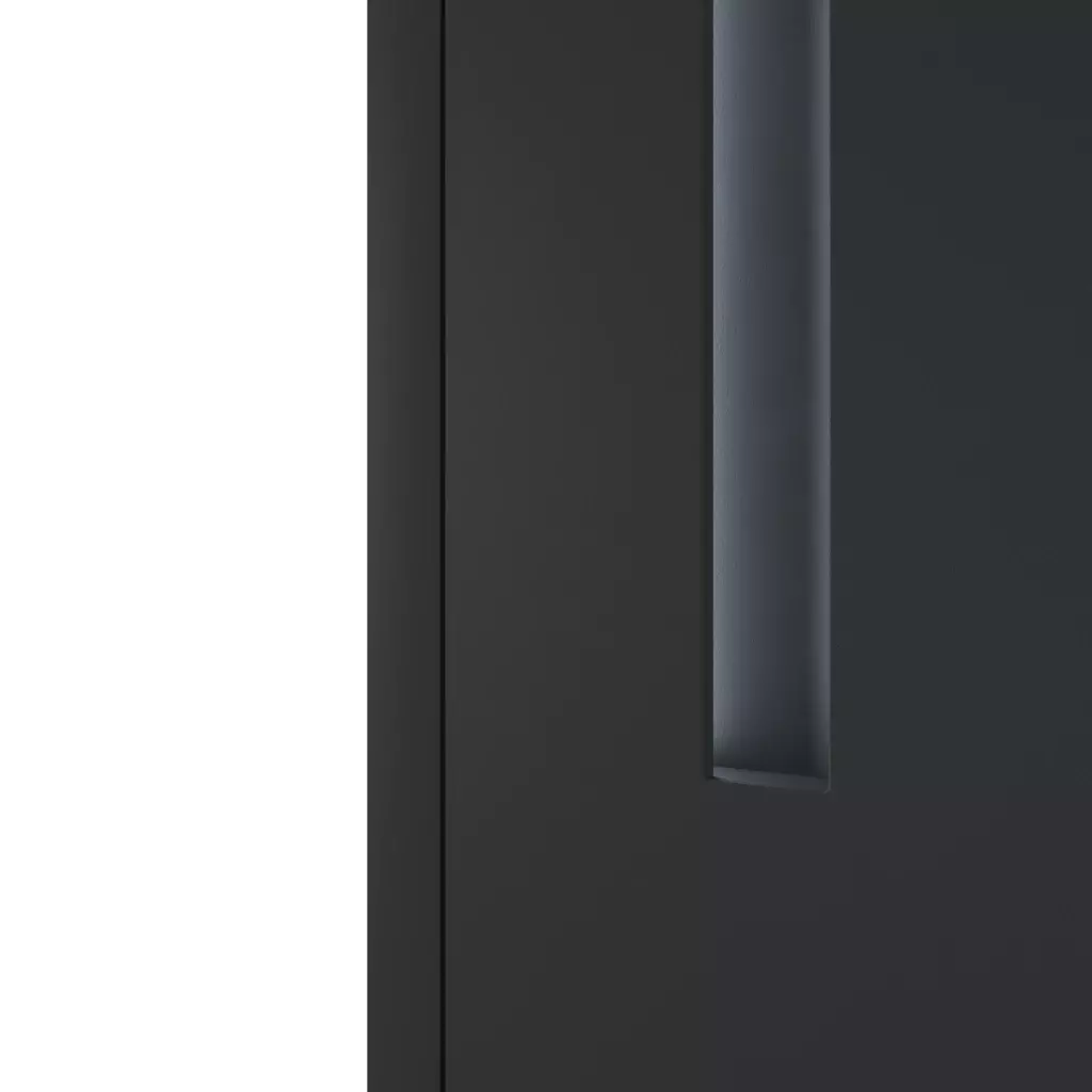PWZ pull handle illumination entry-doors door-accessories pull-handles pw-10 