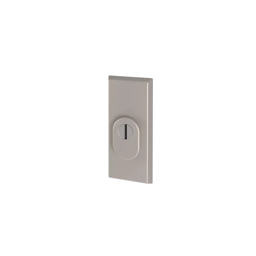 Stainless steel F6 entry-doors door-accessories escutcheons odin 