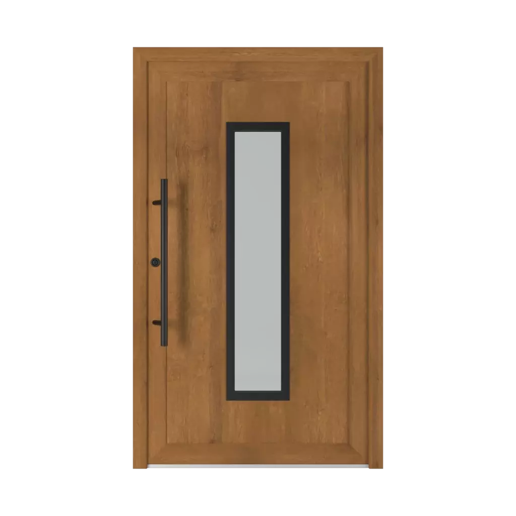 6002 Black PVC entry-doors models pvc 