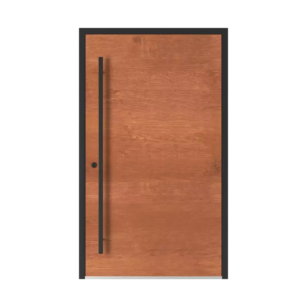 Model 5015 WD entry-doors models dindecor 