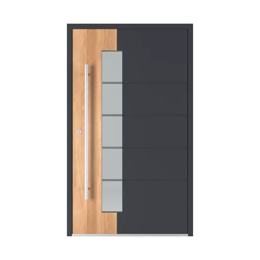 Model 6107 entry-doors models aluminum 