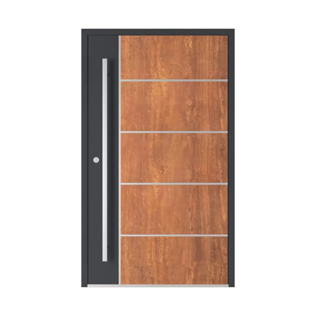 Model 6108 entry-doors models aluminum 