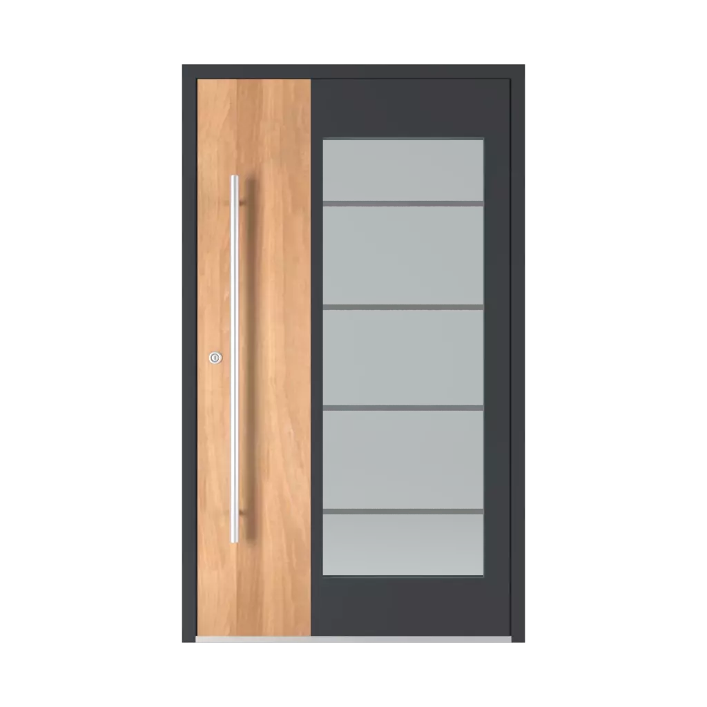 Model 6110 entry-doors models aluminum 