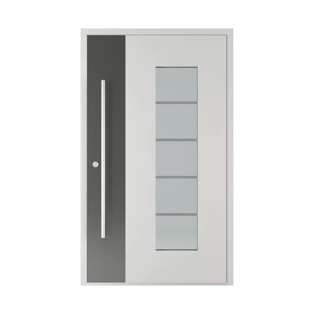 Model 6113 BS entry-doors models aluminum 