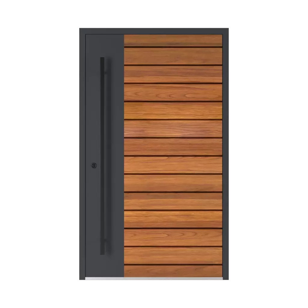Model 6123 ✨ entry-doors door-colors standard-colors turner-oak-malt-woodec 