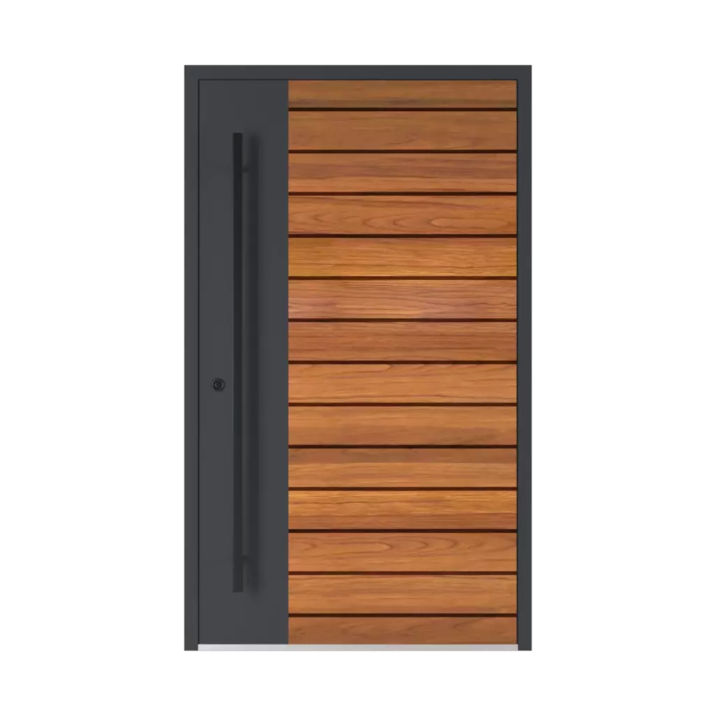 Model 6123 ✨ entry-doors door-colors standard-colors white 