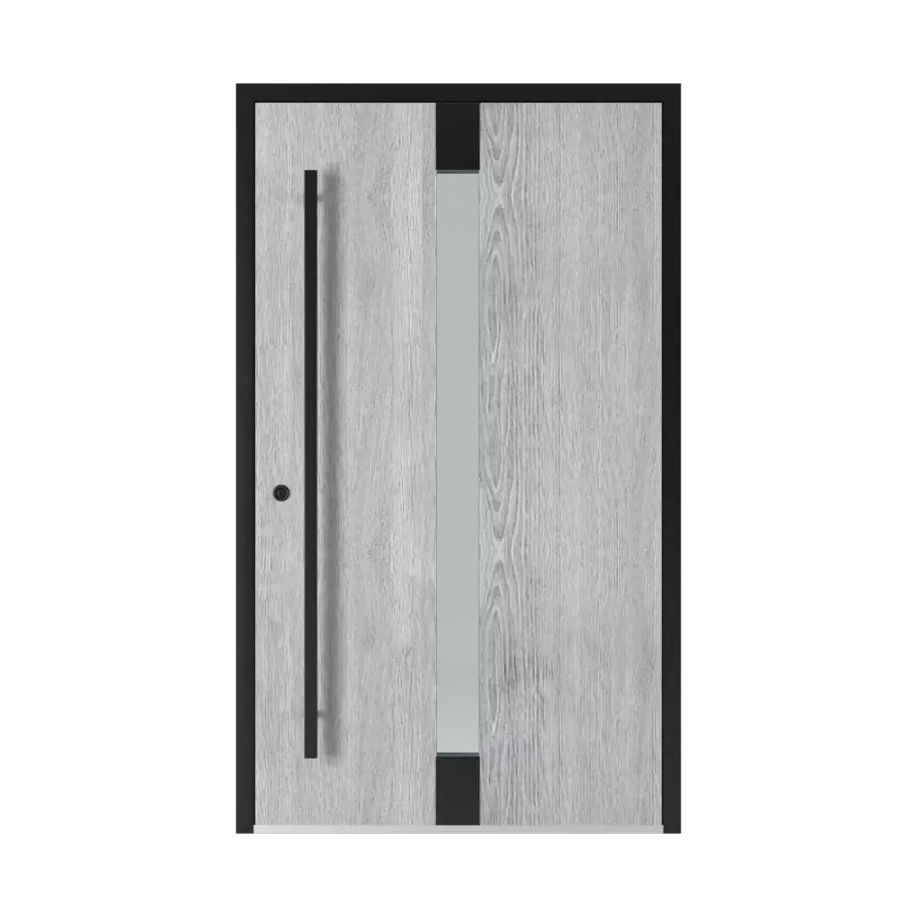 1301 Black entry-doors models aluminum 