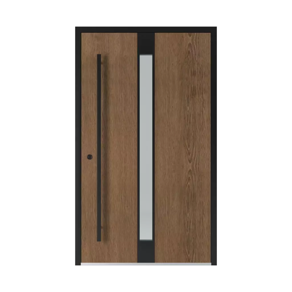 1401 Black entry-doors models aluminum 