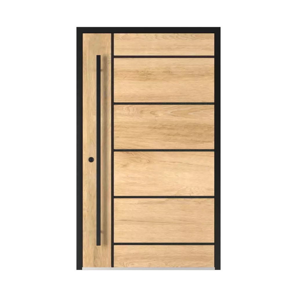 2801 Black entry-doors models dindecor 2801-black  