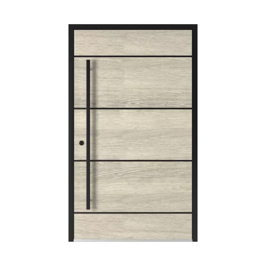 5009 Black products aluminum-entry-doors    