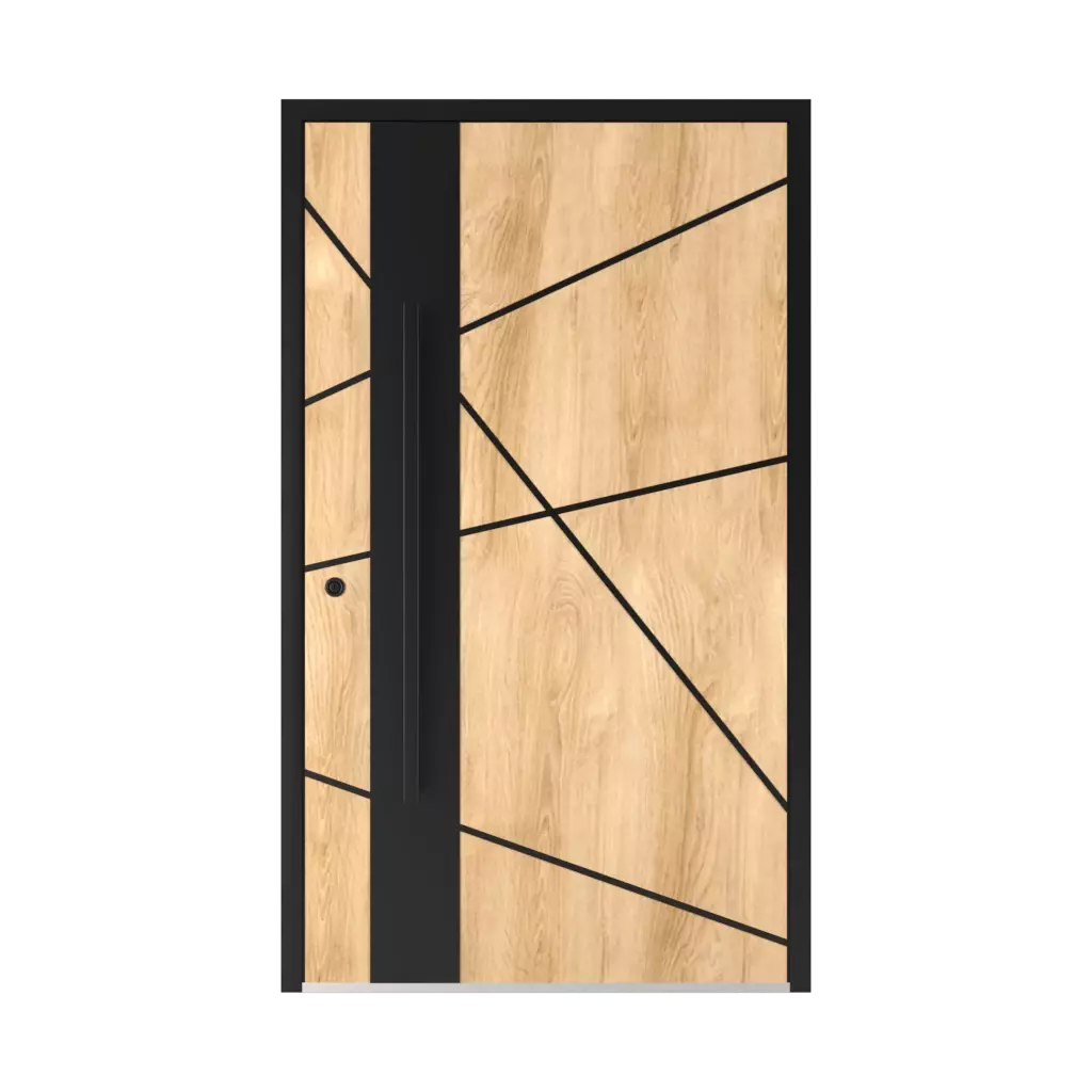 6132 Black ✨ entry-doors door-accessories pull-handles electronics-in-pull-handles 
