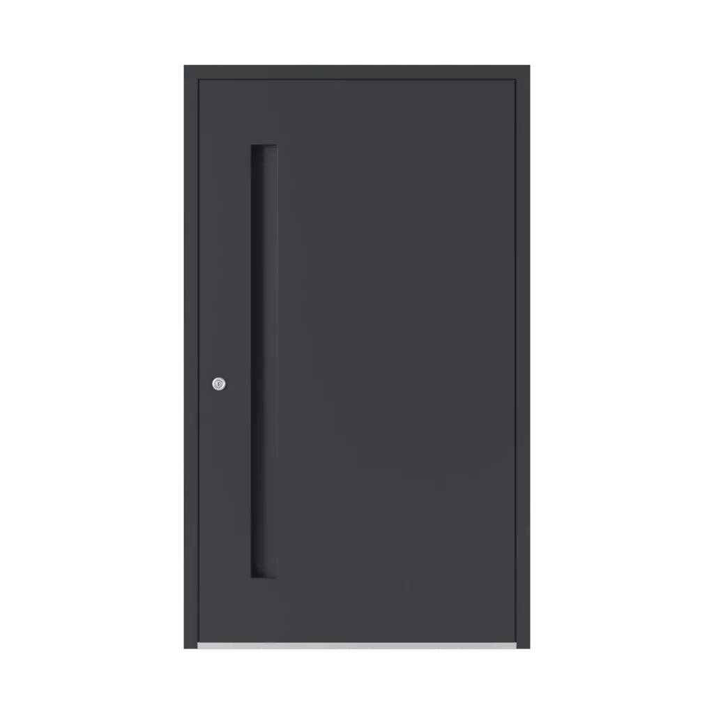 6115 PWZ ✨ entry-doors door-colors standard-colors gray-anthracite 