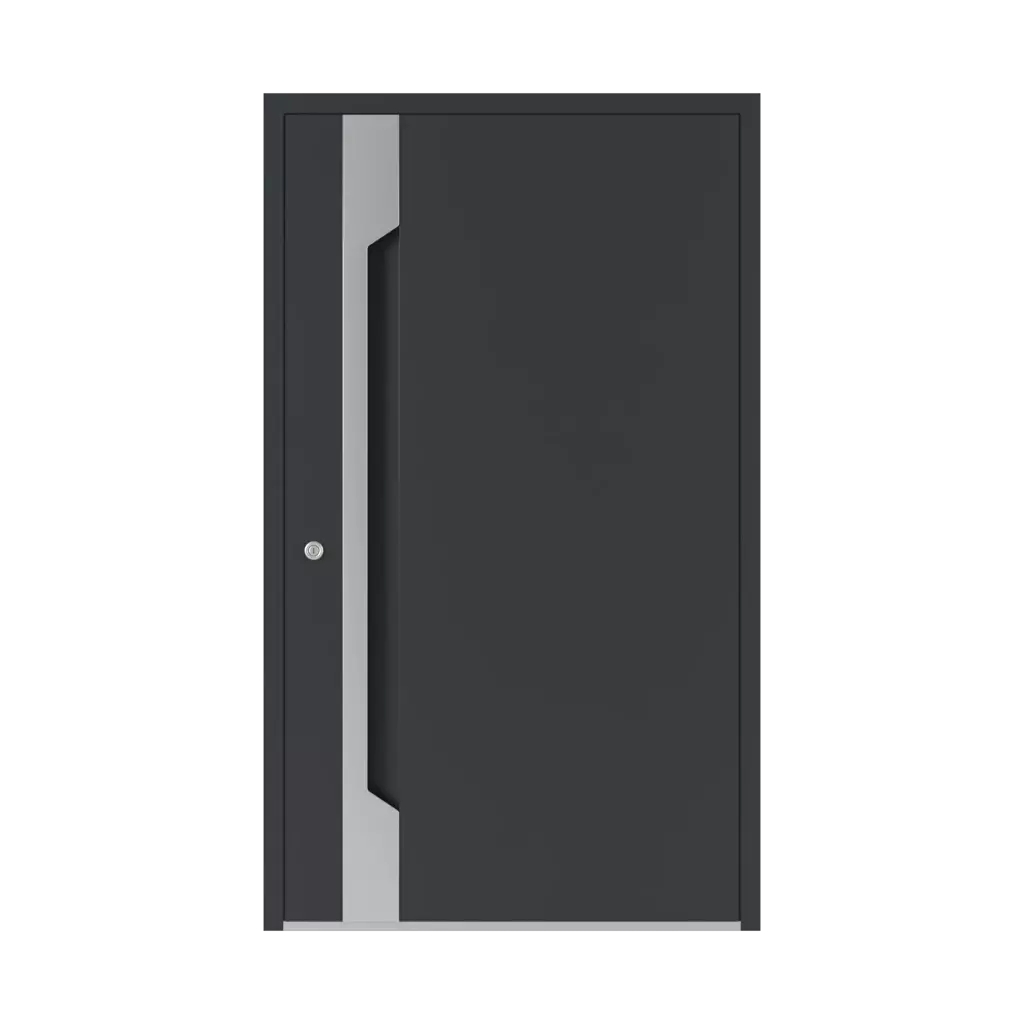 6119 PWZ entry-doors models aluminum 