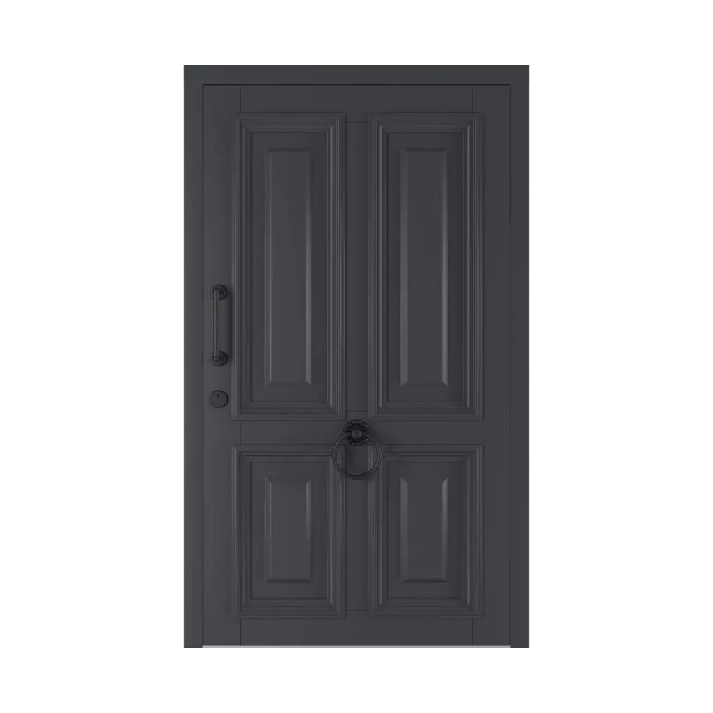 Haga entry-doors models wood 